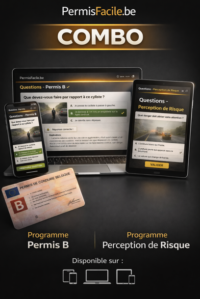 Programme Permis B + Perception de risque